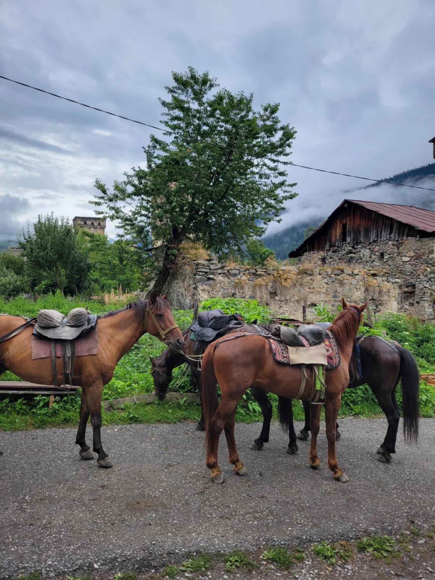 Ailama Guesthouse Mestia Bagian luar foto